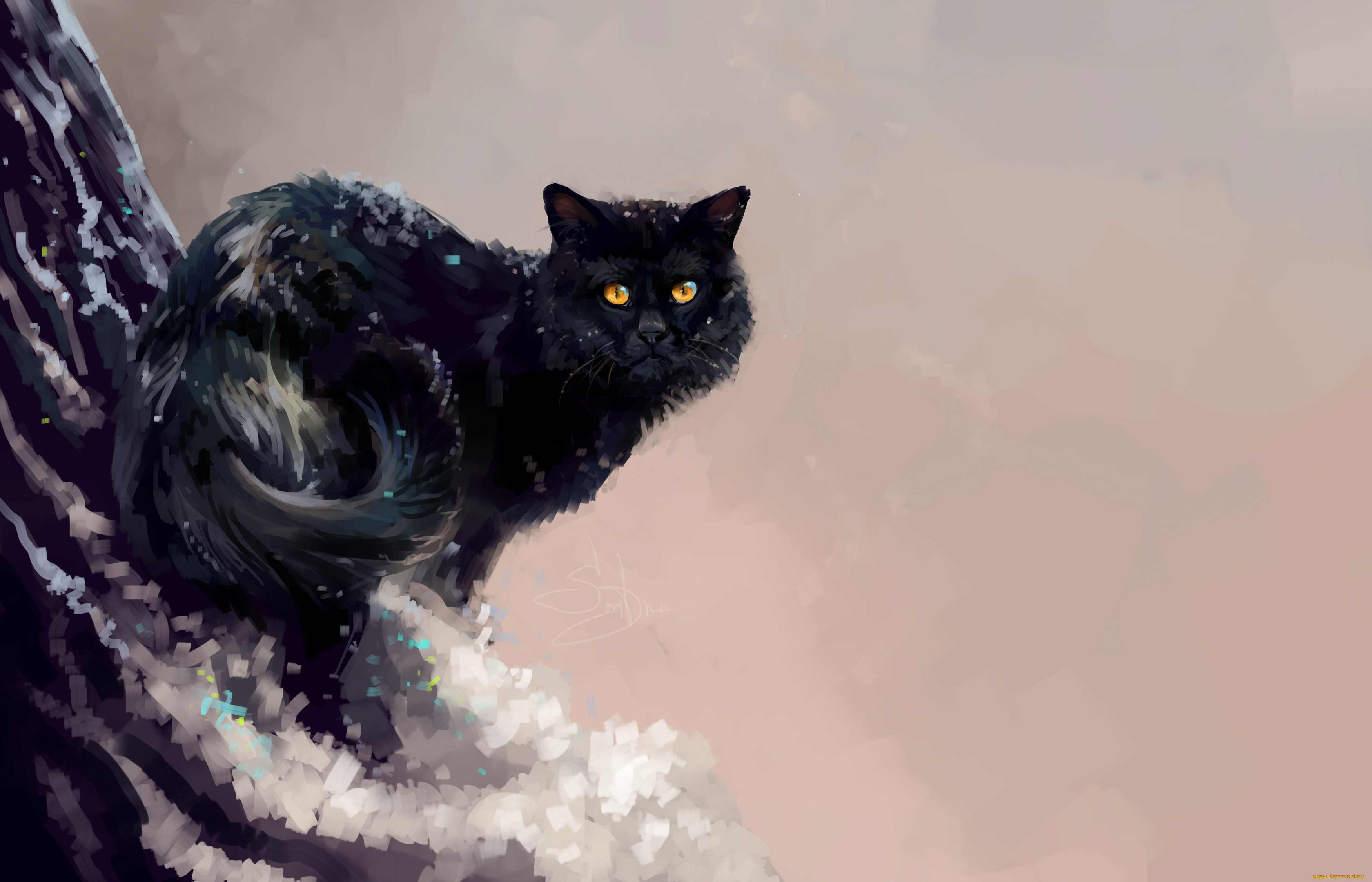 , ,  , , by, salamandra-s, 